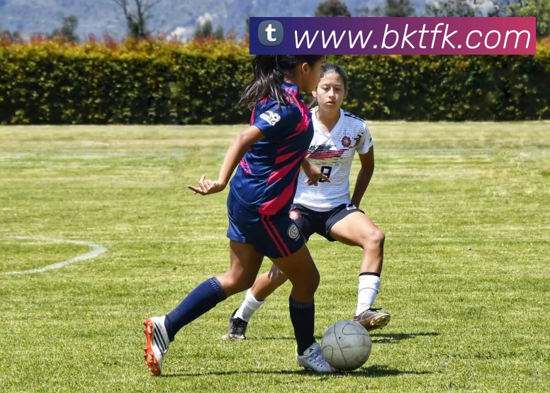 开云手机网页登录网页APP 封面图